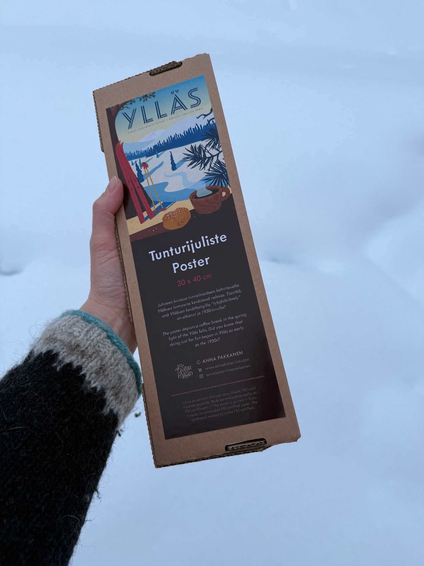 Ylläs - Tunturijuliste