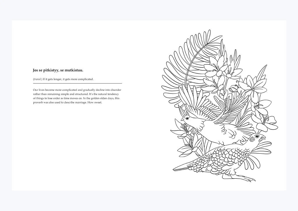 Arctic mindfulness & Finnish folk wisdom- colouring book