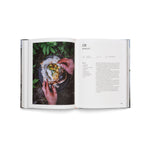 Download an image for Gallery viewing, Cooking on fire
