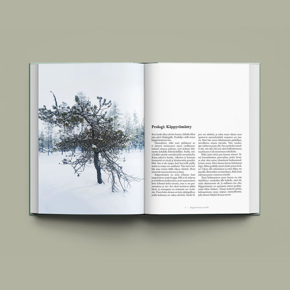 Käppyrämännyn juurella