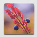 Coaster - Autumn