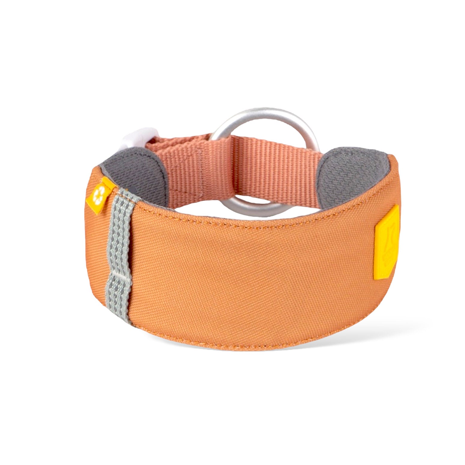 Alpha 360 Collar