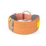 Lataa kuva Galleria-katseluun, Alpha 360 Collar
