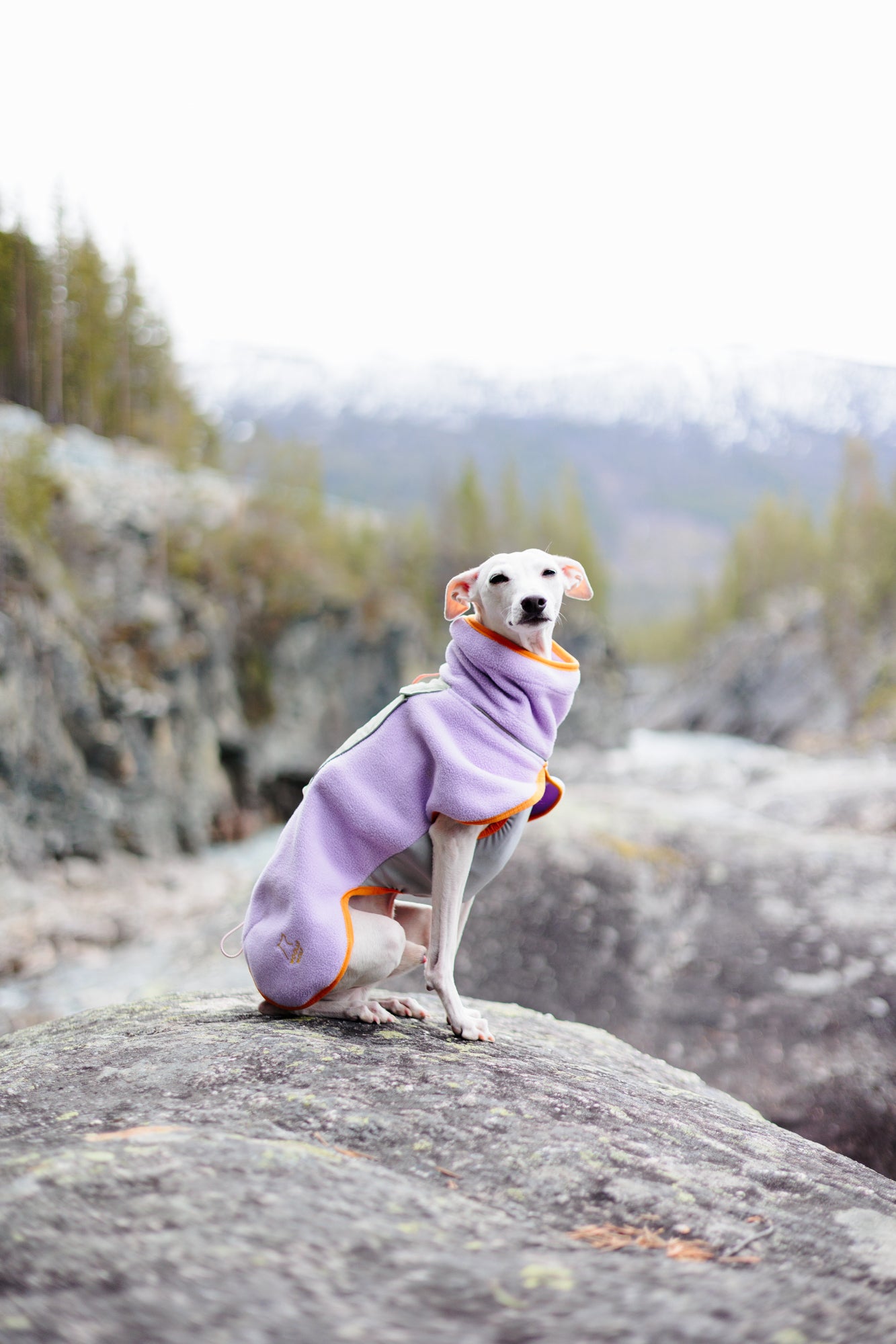 Alpha 360 Fleece Pullover