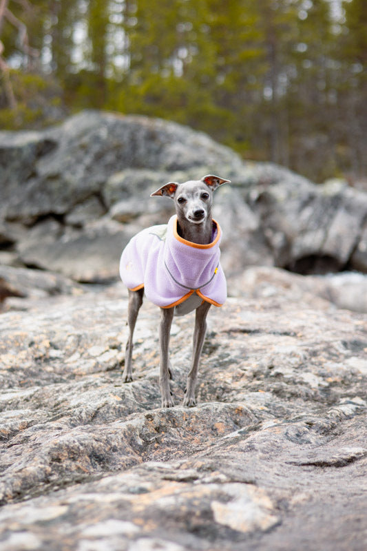 Alpha 360 Fleece Pullover