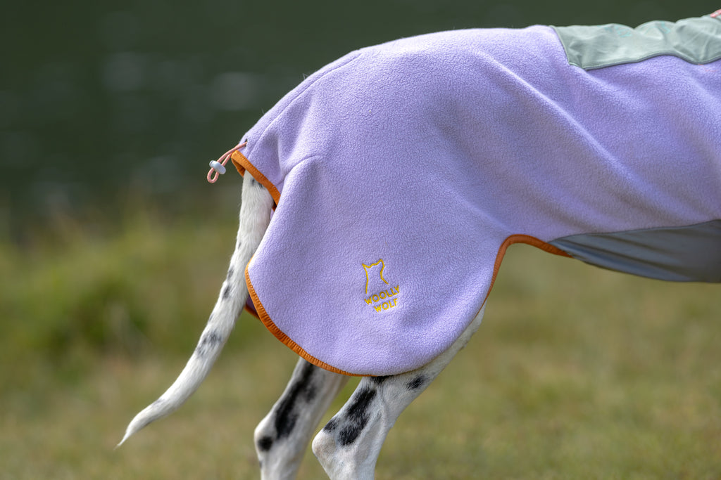 Alpha 360 Fleece Pullover