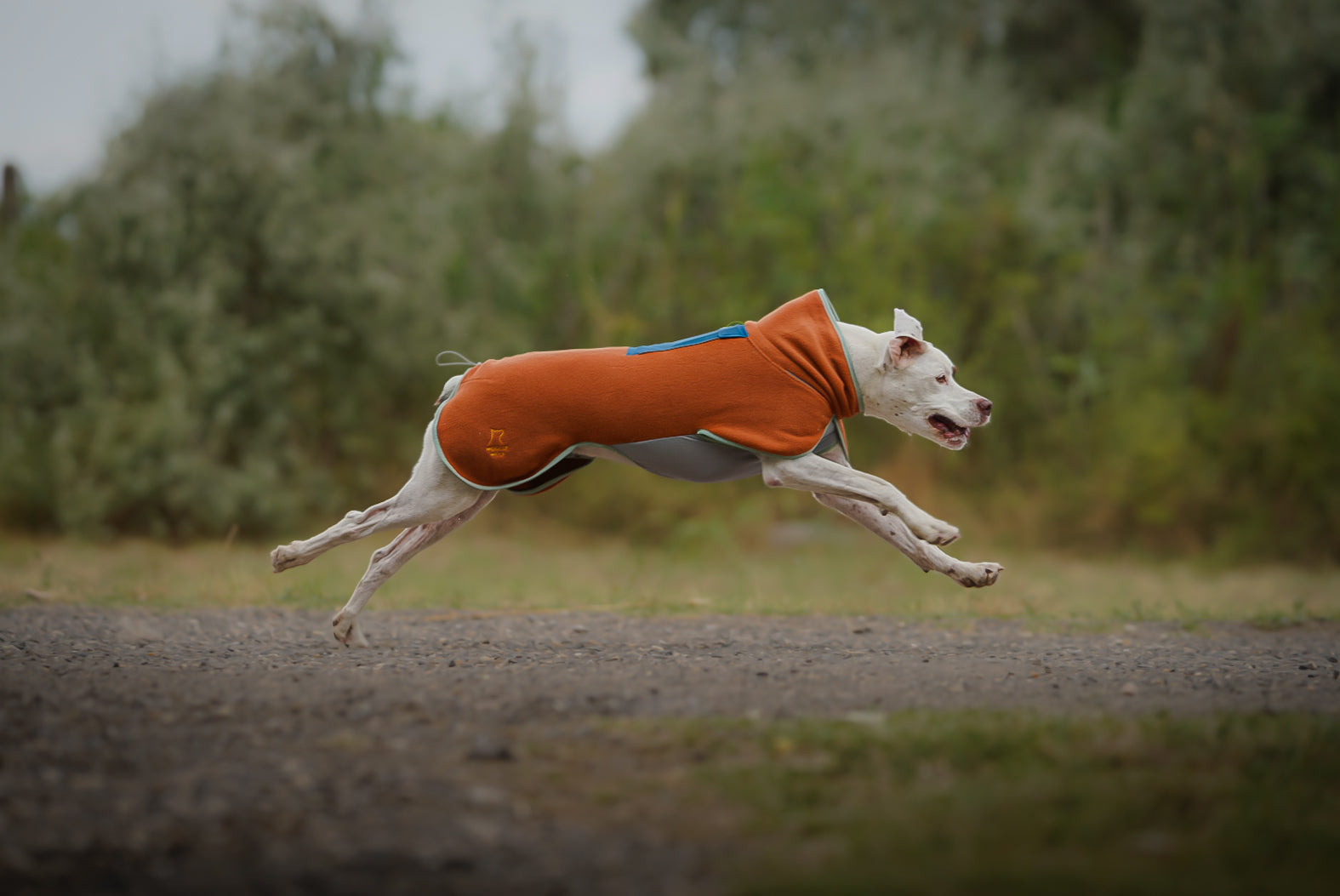 Alpha 360 Fleece Pullover