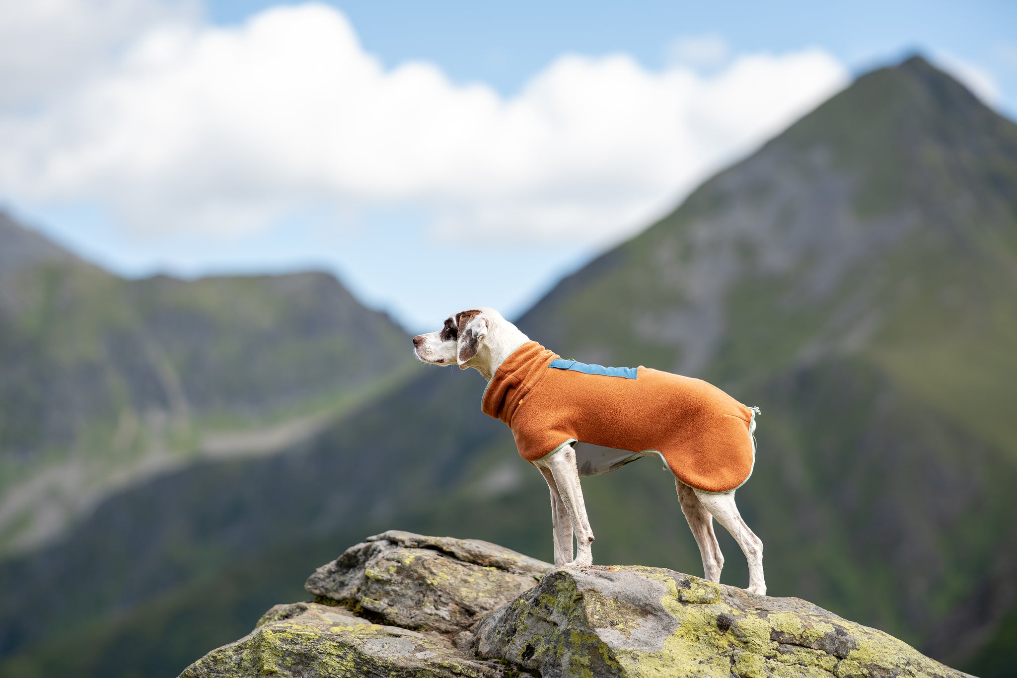 Alpha 360 Fleece Pullover