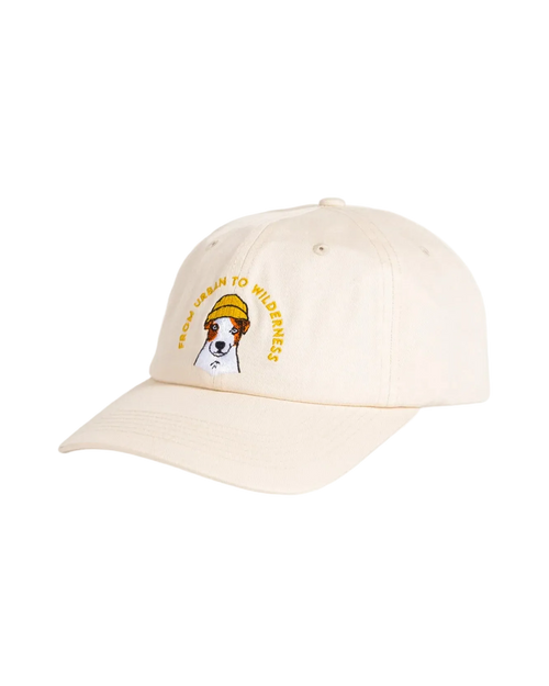 Boss Dog Lippis