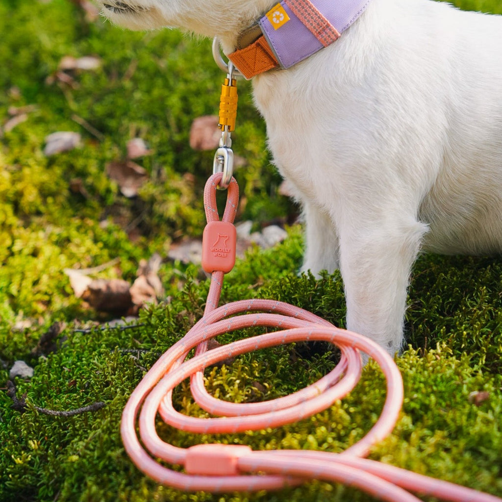 Woollywolf Rope Leash 8mm – Alava Shop