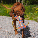 Download an image for Gallery viewing, Nightless Night Squeaky Frisbee
