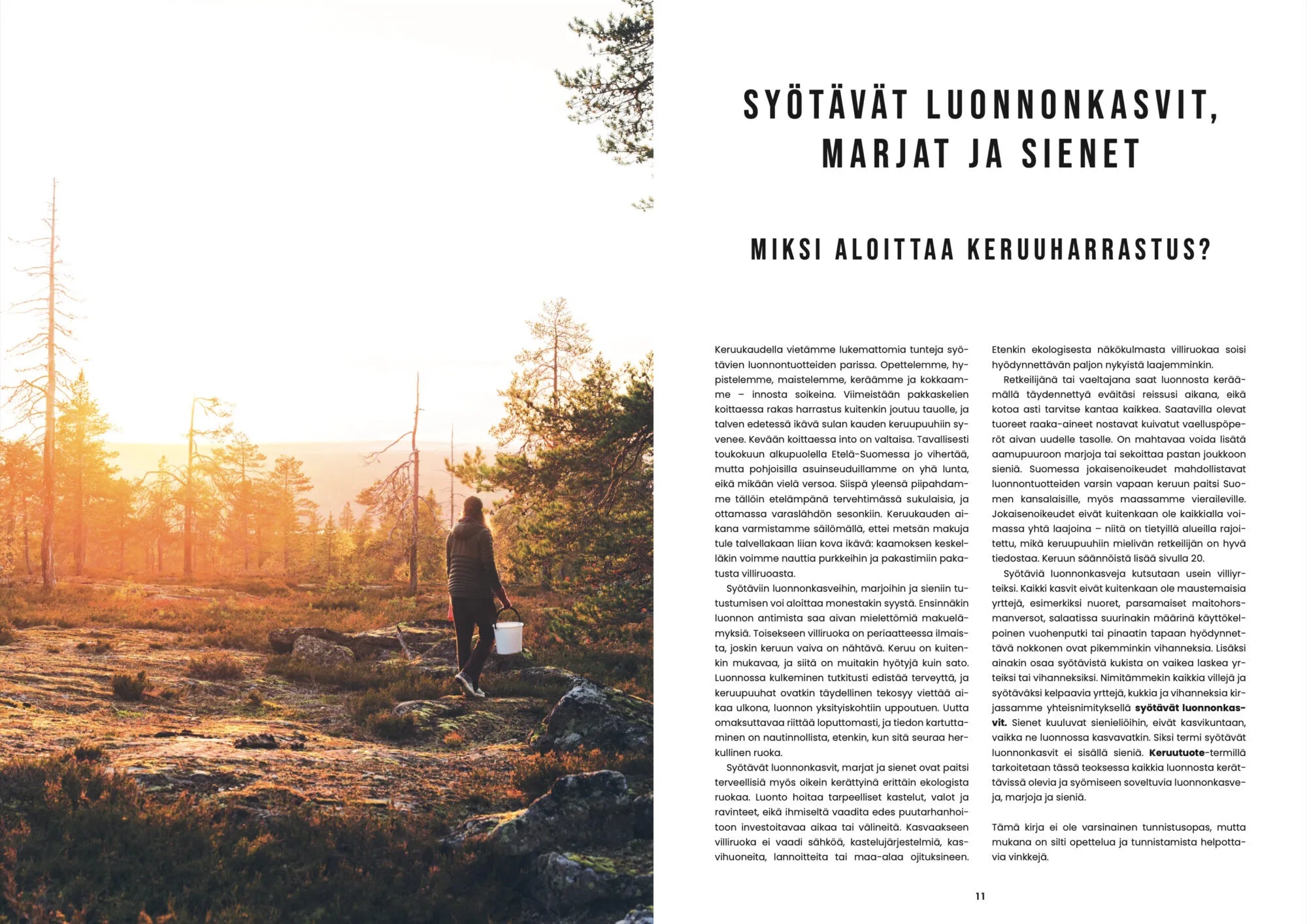 Retkiruokaa luonnosta