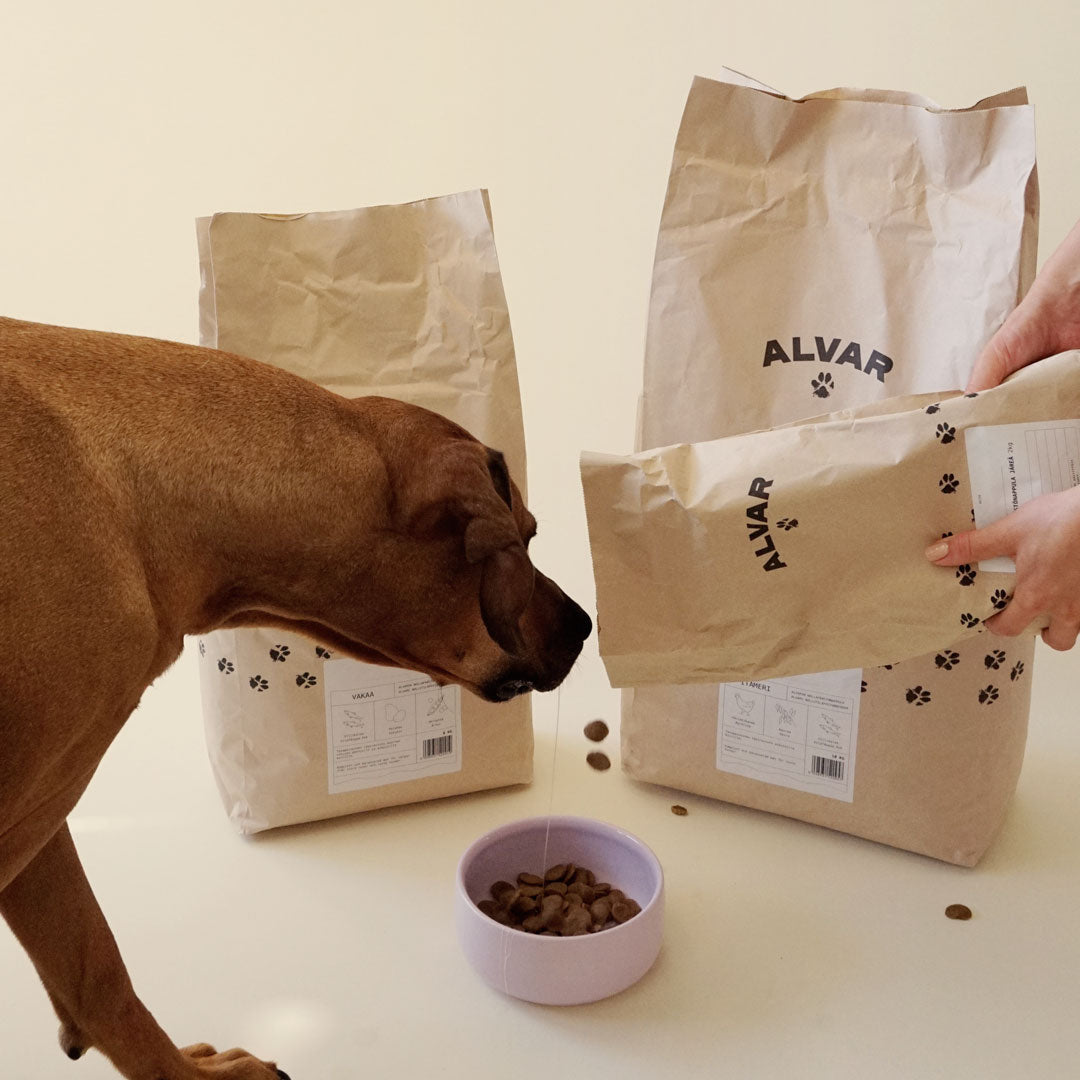 Stable zero-emission dog food