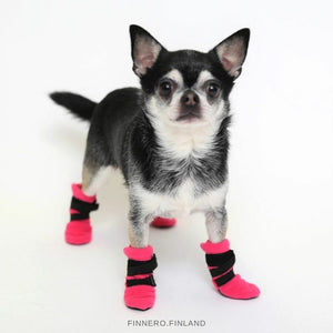 Halla slippers for dogs 4 pcs