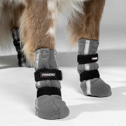 Halla heijastavat koiran tossut
