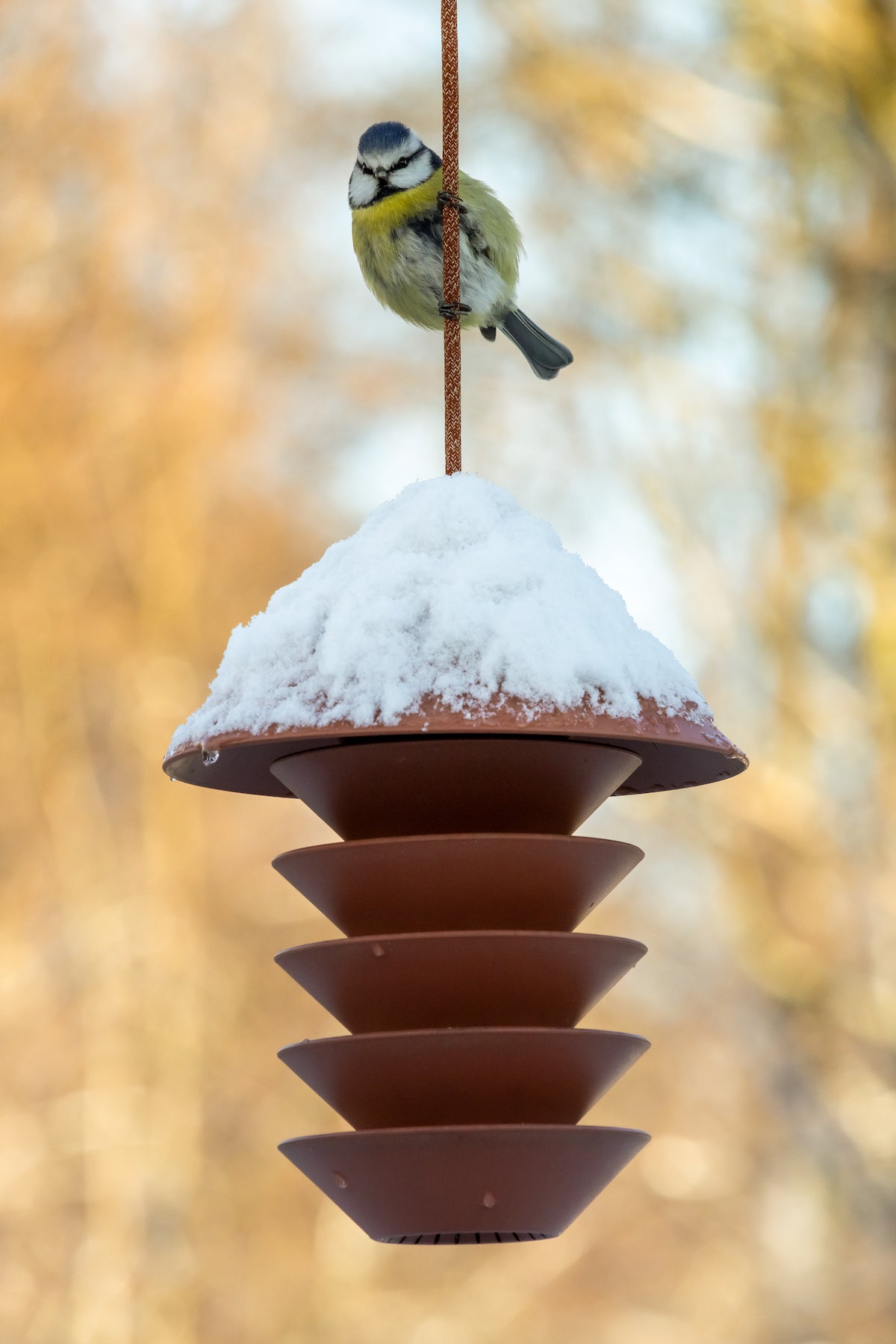 Bird Silo lintulauta