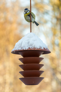 Bird Silo bird board