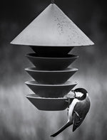 Download an image for Gallery viewing, Bird Silo lintulauta

