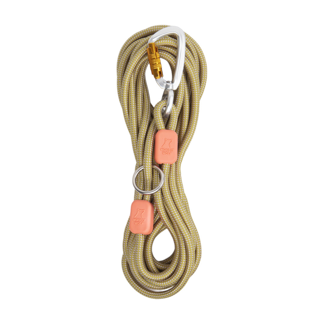Long Rope Leash