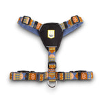 Download an image for Gallery viewing, Nightless Night harness
