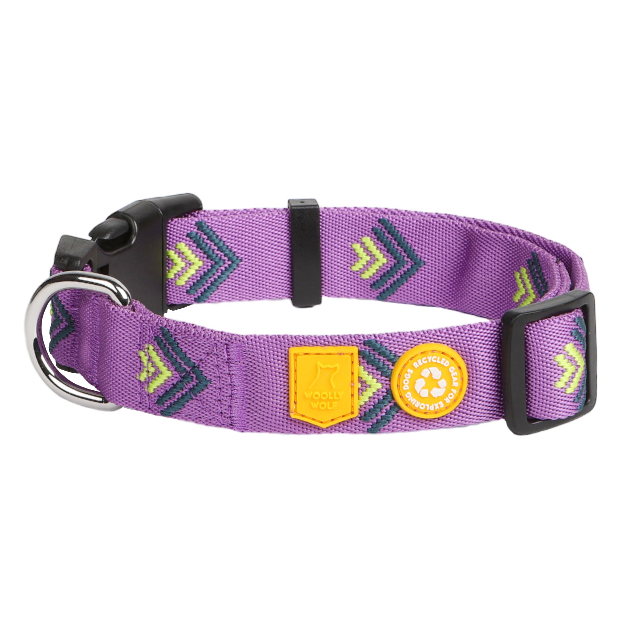 Northern Lights Dog Collar