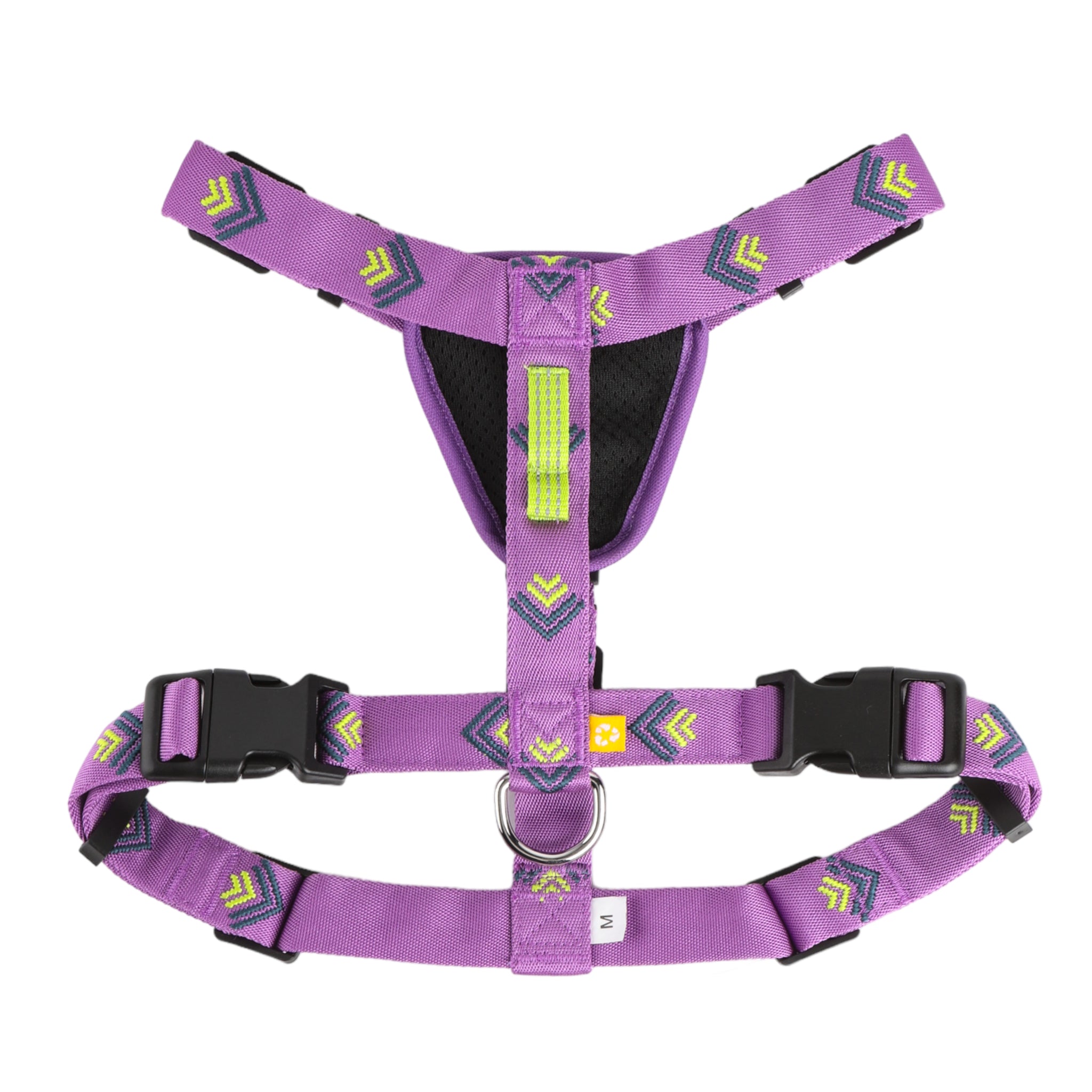 Northern Lights Dog Harness