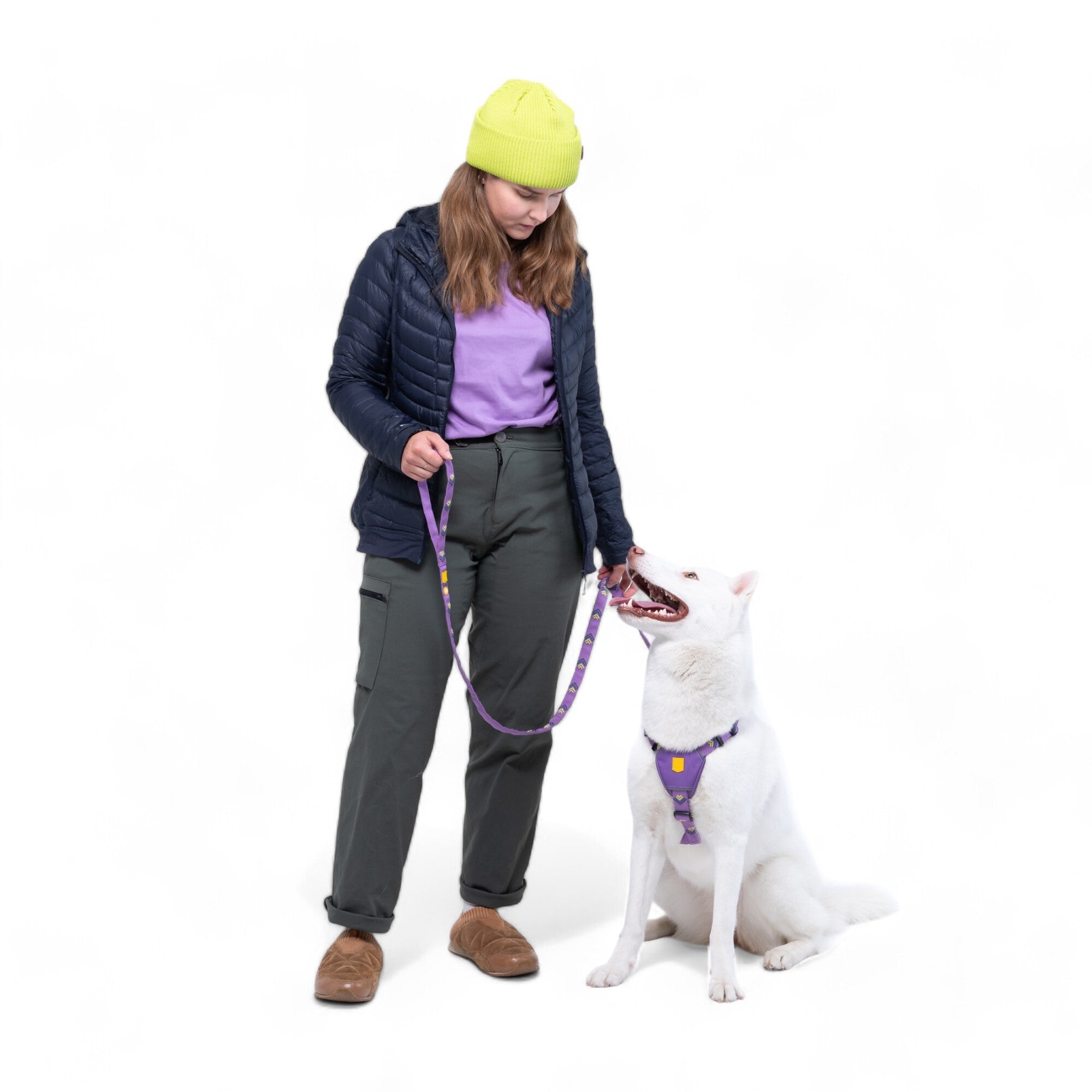 Northern Lights Dog Harness