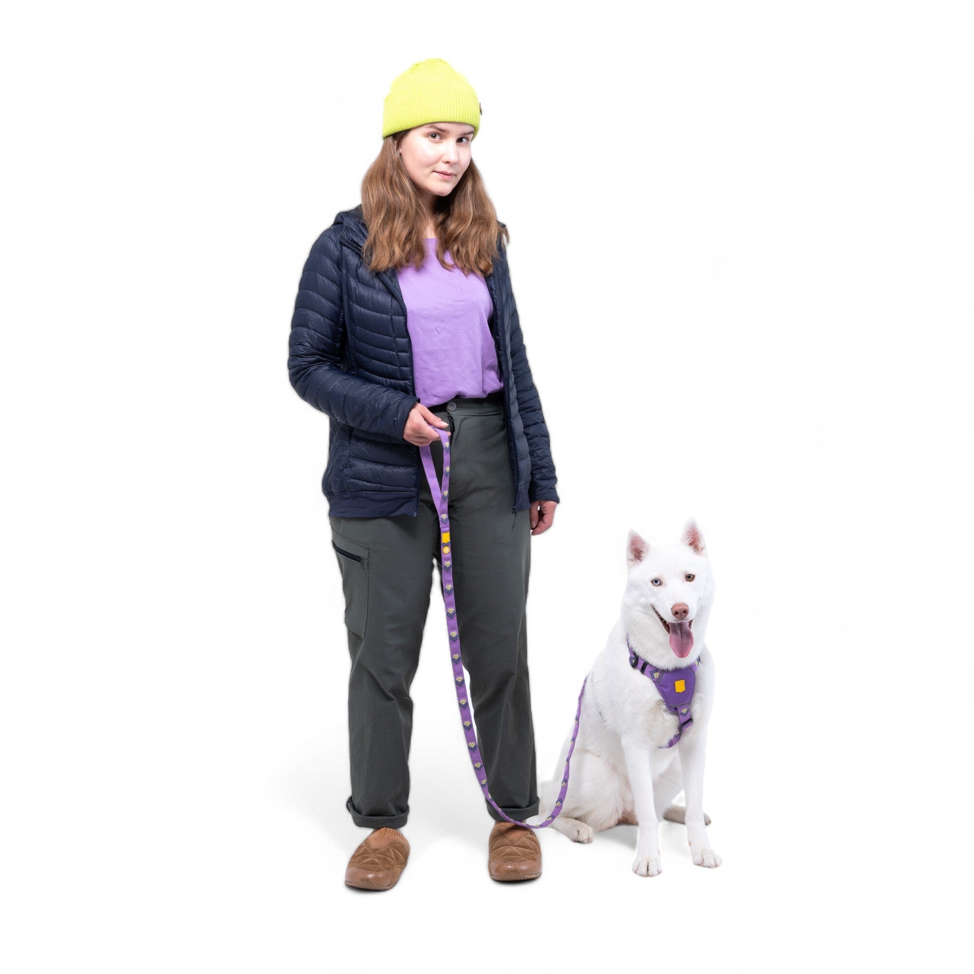 Northern Lights Dog Leash