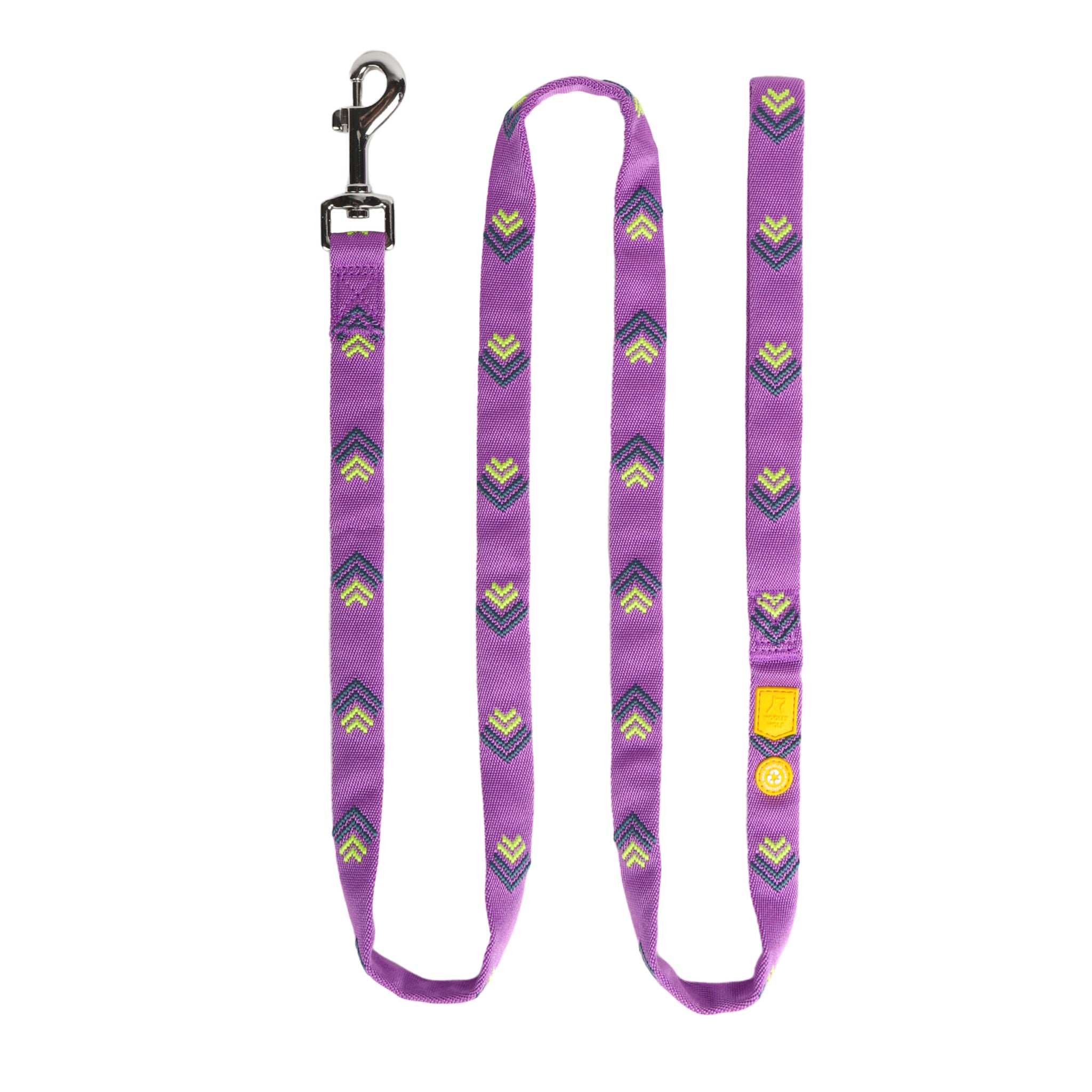 Northern Lights Dog Leash
