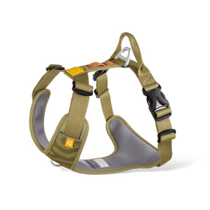 Roam Harness