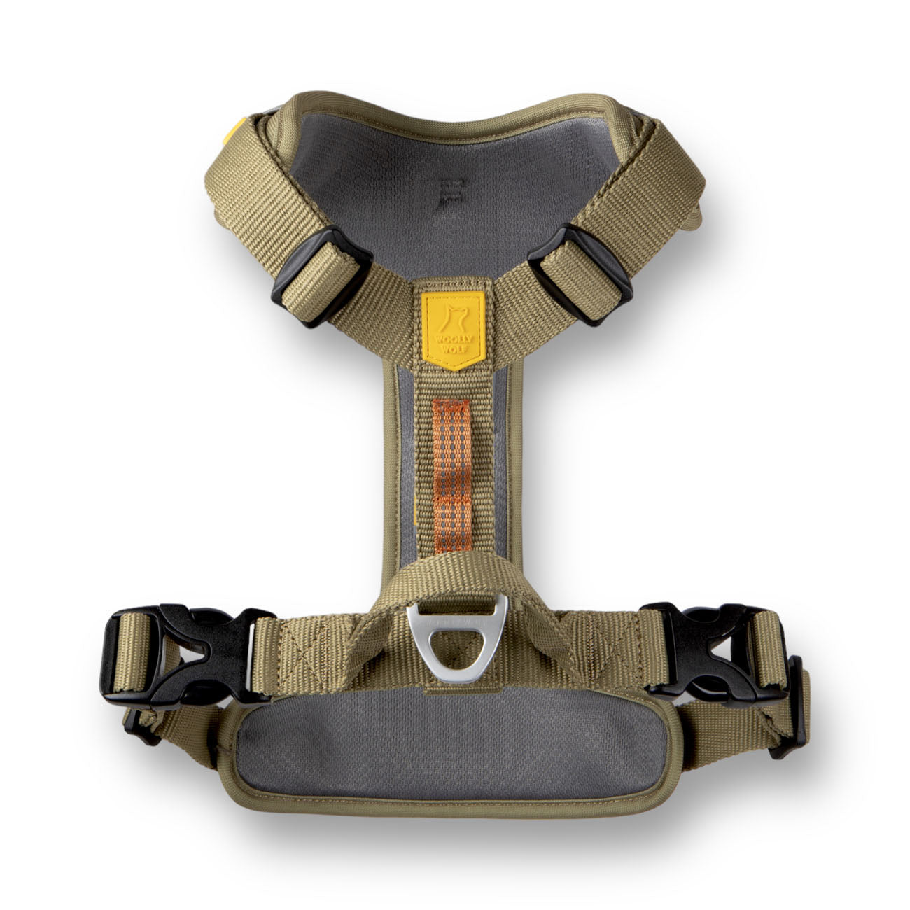 Roam Harness