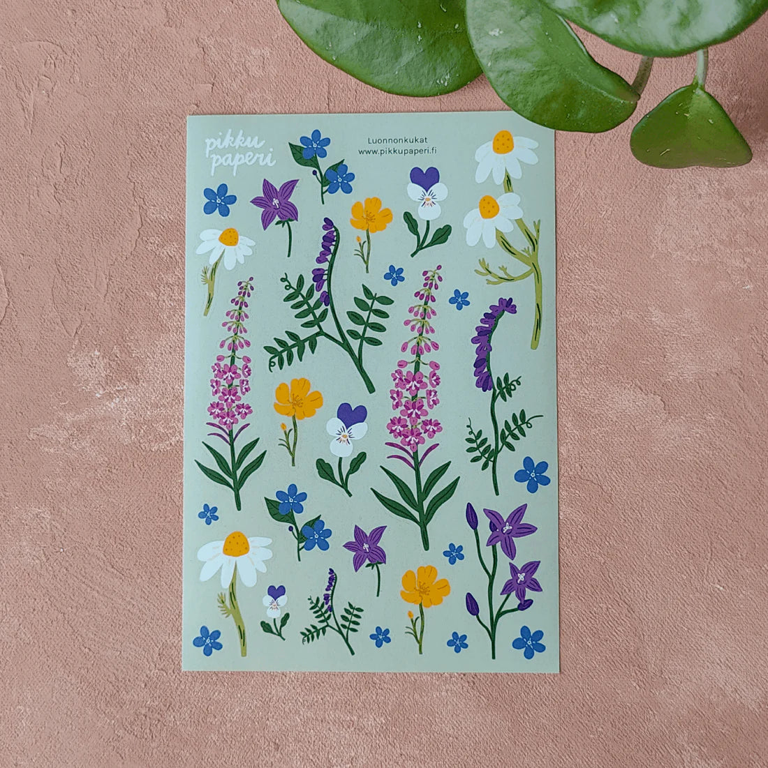 Luonnonkukat - Tarra-arkki