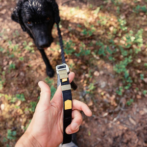 Roam adjustable leash