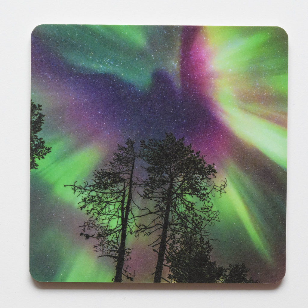 Coaster - Northern Lights
