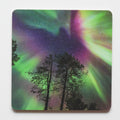 Coaster - Northern Lights