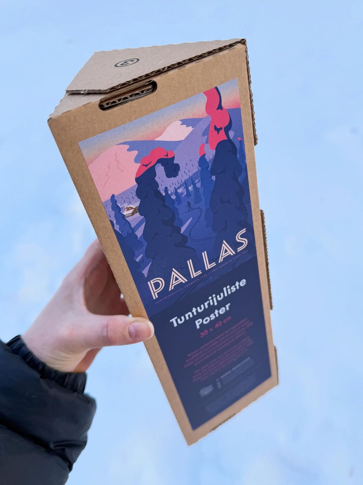 Pallas - Tunturijuliste