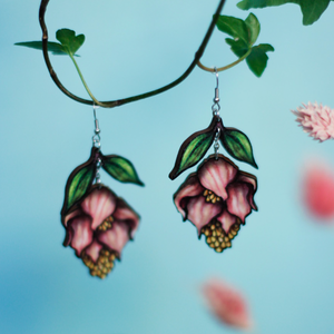 Medinilla