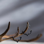 Download an image for Gallery viewing, Horn swing earrings
