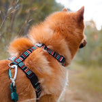 Download an image for Gallery viewing, Woodland Harness
