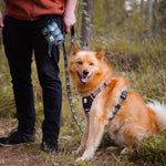 Download an image for Gallery viewing, Woodland Harness
