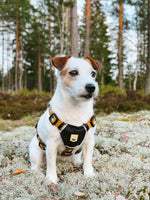 Lataa kuva Galleria-katseluun, Sea To Summit Harness
