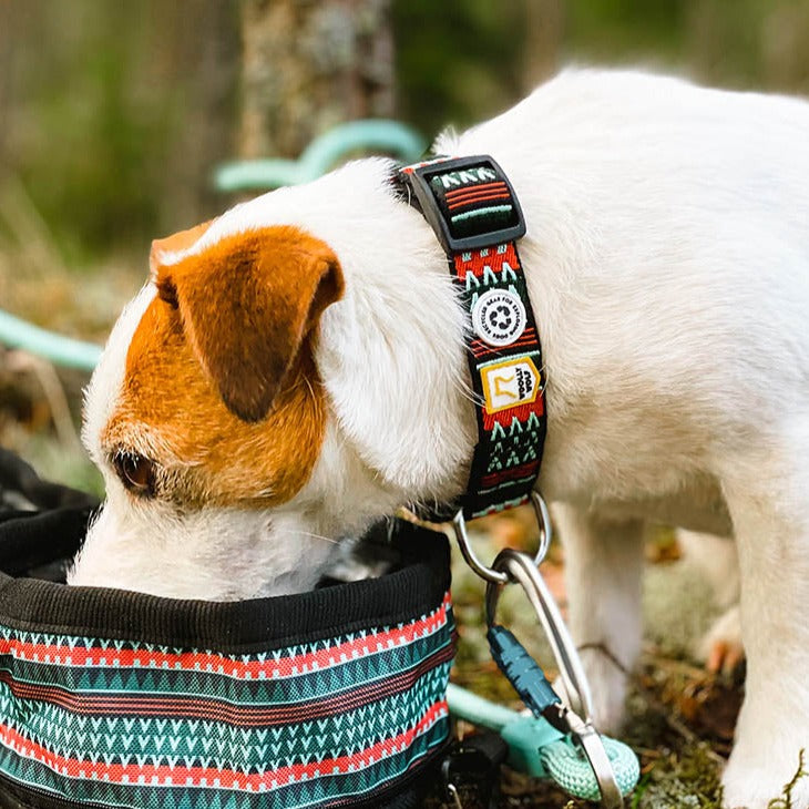 Woodland Collar