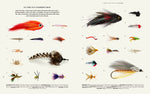 Download an image for Gallery viewing, The Fly Fisher

