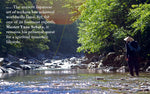 Download an image for Gallery viewing, The Fly Fisher
