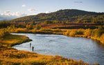 Download an image for Gallery viewing, The Fly Fisher
