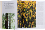 Download an image for Gallery viewing, Out of the Woods
