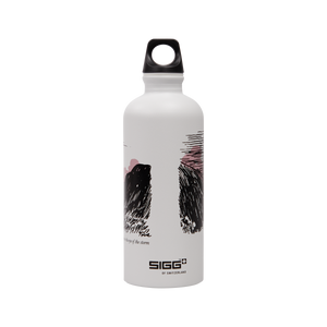 Valley 0,6L SIGG Bottle