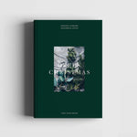 Lataa kuva Galleria-katseluun, Green Christmas – Wreaths &amp; Floral Arrangements
