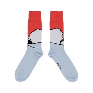 Steamer socks