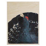 Lataa kuva Galleria-katseluun, Plywood Postcard - Riku Norakari
